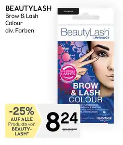 Bipa BEAUTYLASH Brow & Lash Angebot