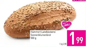 Sutterlüty Hammerl Landbäckerei Sonnenblumenbrot Angebot