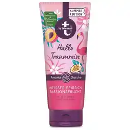 dm Dusche div. Sorten dm Angebot