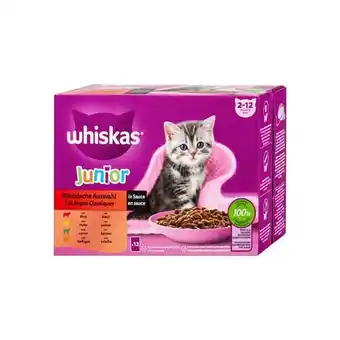 dm Nassfutter div. Sorten dm Angebot