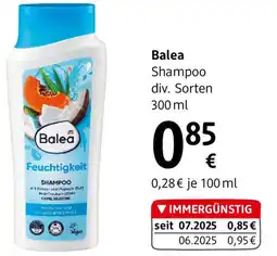 dm Balea Shampoo div. Sorten Angebot