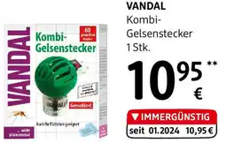 dm vandal Kombi-Gelsenstecker Angebot