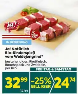Billa Ja! Natürlich Bio-Rinderspieß vom Weidejungrind Angebot