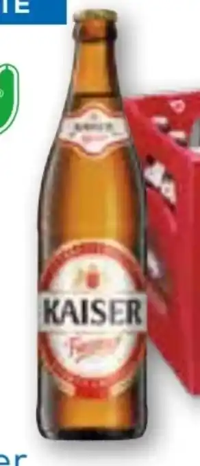 T&G Kaiser Fasstyp Angebot