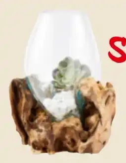 XXXLutz Ambia Vase Angebot