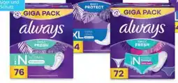 Hofer Always Slipeinlagen Angebot