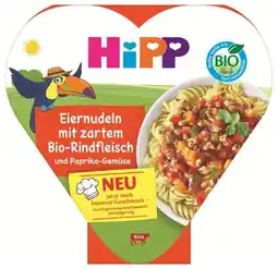 dm Hipp Bio Kinderteller Angebot