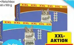 Hofer Cachet Classic Katzenfutter Angebot