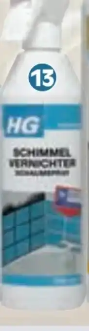 Zgonc HG Schimmel-Vernichter Schaumspray Angebot
