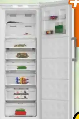 Expert Elektrabregenz Stand-Gefrierschrank FSN9980 Angebot
