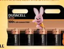 Expert Duracell Baby Batterien Blist Plus C ML K4 Angebot