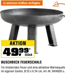 OBI Buschbeck feuerschale Angebot