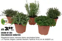 OBI Grow by obi italienische kräuter Angebot