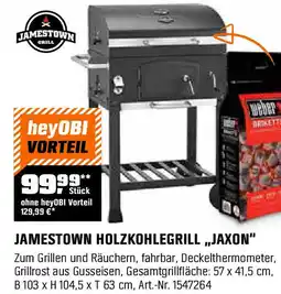 OBI Jamestown holzkohlegrill,,jaxon Angebot
