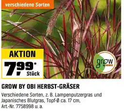 OBI Grow by obi herbst-gräser Angebot
