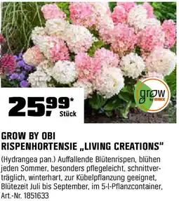 OBI Grow by obi rispenhortensie,,living creations" Angebot
