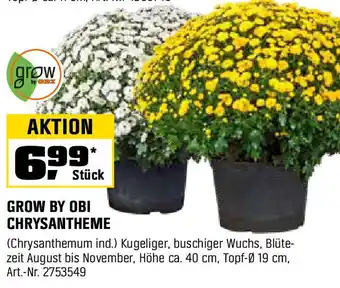 OBI Grow by obi chrysantheme Angebot