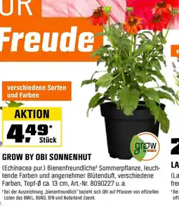OBI Grow by obi sonnenhut Angebot