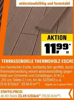 OBI Terrassendiele thermoholz esche Angebot