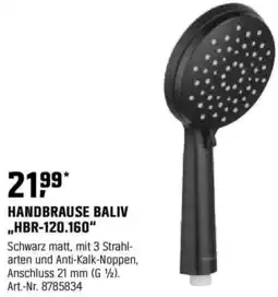 OBI Handbrause baliv ,,hbr-120.160" Angebot