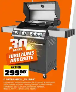 OBI El fuego gasgrill,,columbia" Angebot