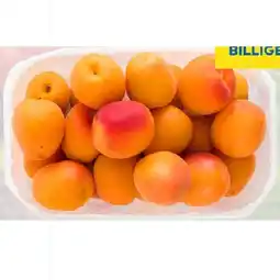 T&G Marillen T&G Angebot