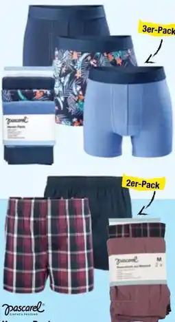 Maximarkt Pascarel Herren-Pants Angebot
