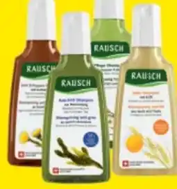 Maximarkt Rausch Shampoo Angebot