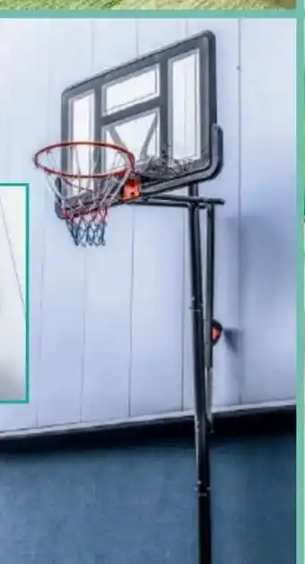Norma Topfit Basketballanlage Angebot