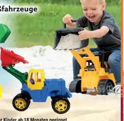 Norma Lena Großfahrzeuge Angebot