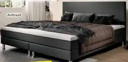 Norma Inter Handels Boxspringbett Sunny Plus Angebot