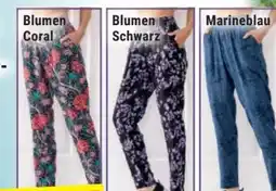 Norma Elle Nor Damen Jodphur-Hose Angebot