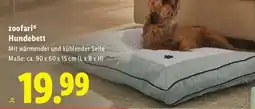 Lidl zoofari Hundebett Angebot