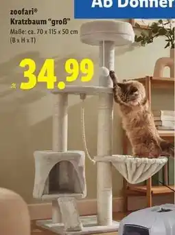 Lidl zoofari Kratzbaum „groß“ Angebot