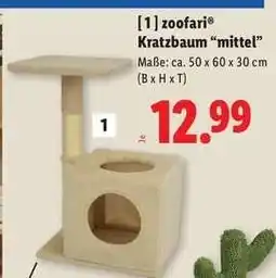 Lidl zoofari Kratzbaum “mittel” Angebot