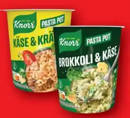Lidl Knorr Snackbecher Pasta Pot Angebot