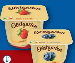 Lidl Danone Obstgarten Angebot