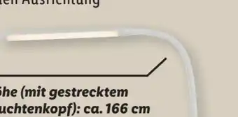 Lidl Livarno Home LED-Stehleuchte Angebot