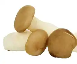 Transgourmet Vonatur Bio Kräuterseitlinge Angebot