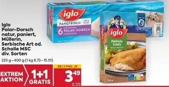 Billa Iglo Polar-Dorsch Natur, Paniert, Müllerin, Serbische Art Od. Scholle MSC Div. Sorten 225-400g Angebot