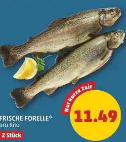 PENNY Frische forelle Angebot