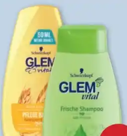 PENNY Schwarzkopf Glem Vital Shampoo Angebot