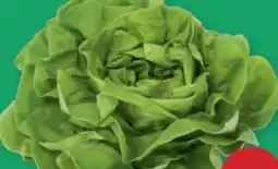 PENNY Ich bin Österreich Häuptelsalat Angebot