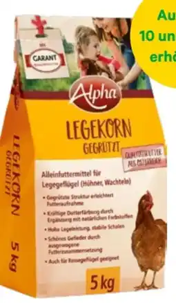 Lagerhaus Alpha Legekorn Angebot