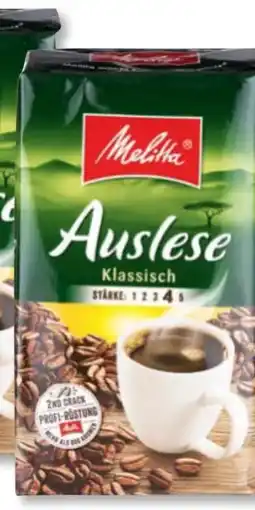 Norma Melitta Auslese Angebot
