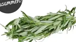 Transgourmet Quality Rosmarin Angebot
