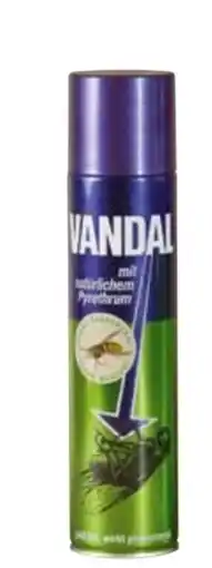 Transgourmet Vandal Insektenspray Angebot