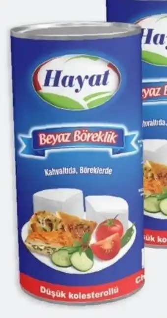 ETSAN Hayat Beyaz Kombi Angebot