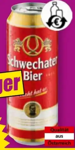 Norma Schwechater Bier Angebot