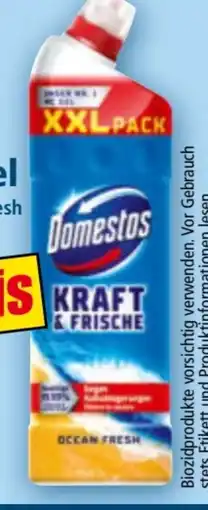 Norma Domestos Kraft & Frische WC Gel Angebot